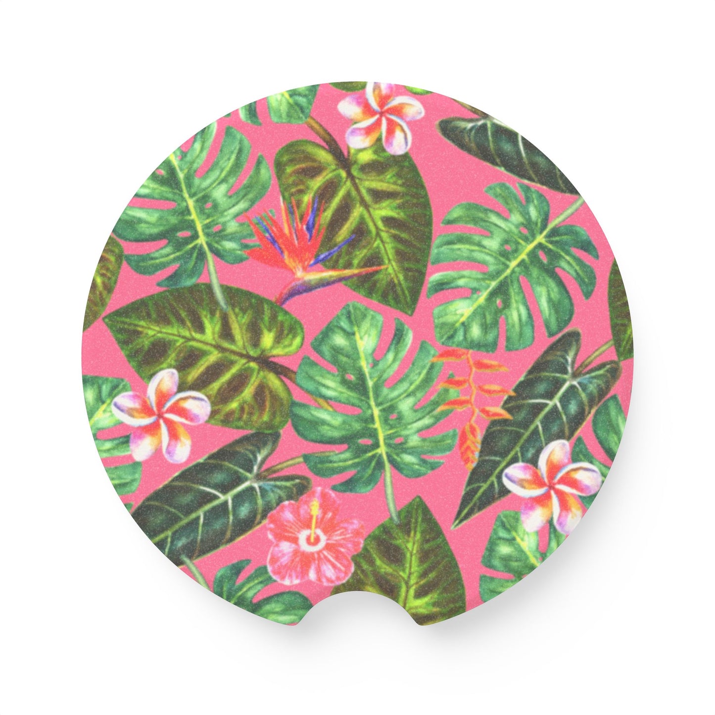 summer car coaster