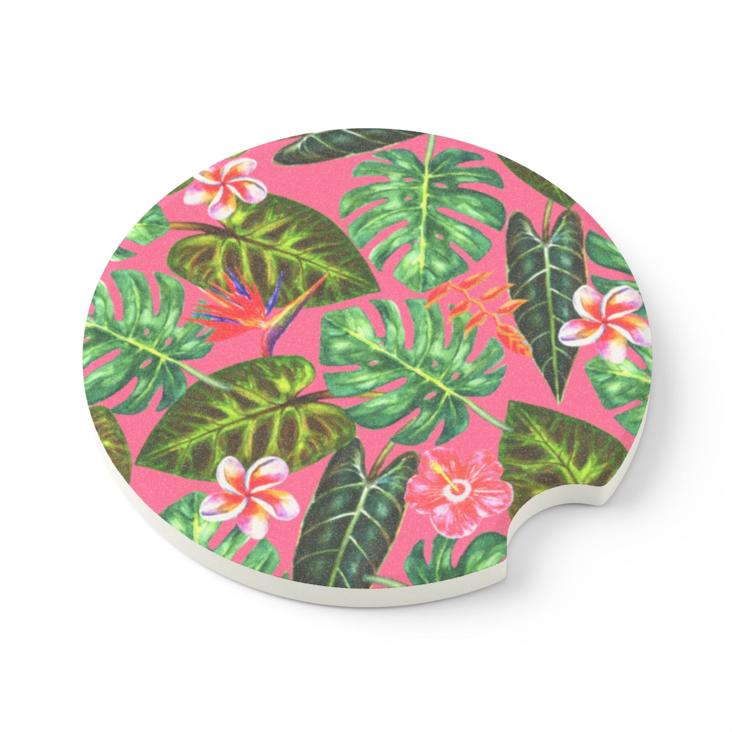 summer car coaster